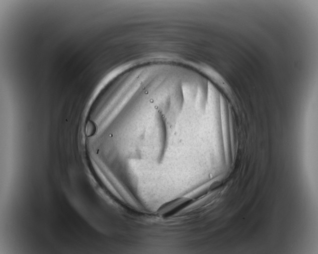 X0000086291287200704201916