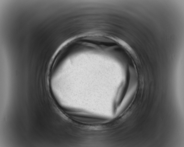 X0000086291288200704201916