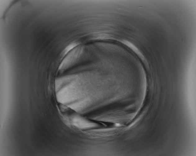 X0000086291289200704201916