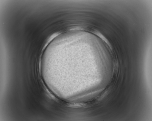 X0000086291290200704201916