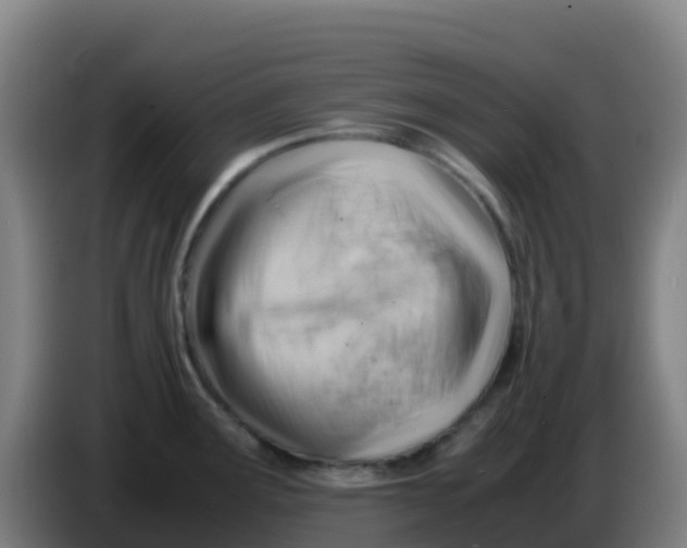 X0000086291291200704201916