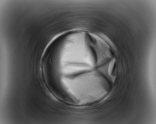 X0000086291292200704201916