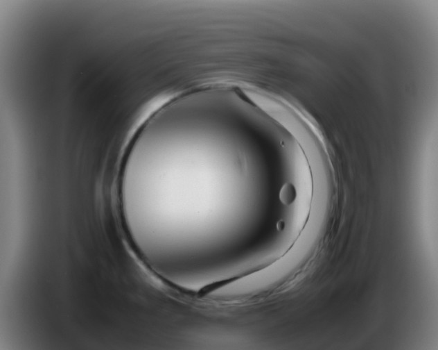 X0000086291293200704201916