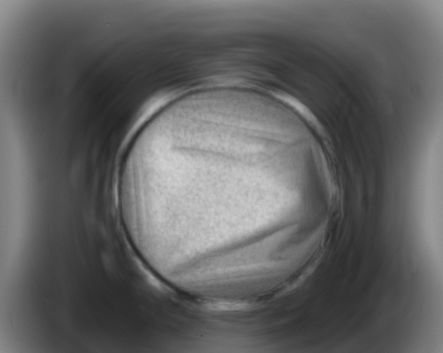 X0000086291294200704201916
