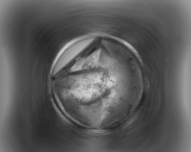 X0000086291295200704201916