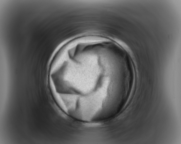X0000086291296200704201915