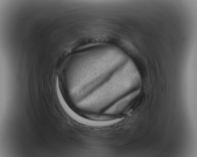 X0000086291298200704201915