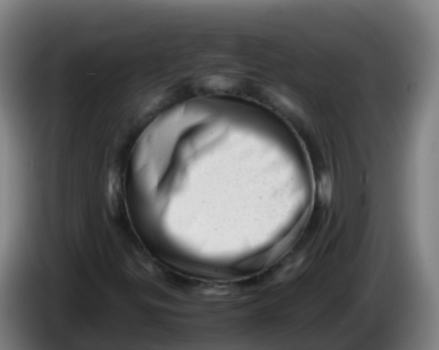 X0000086291299200704201915