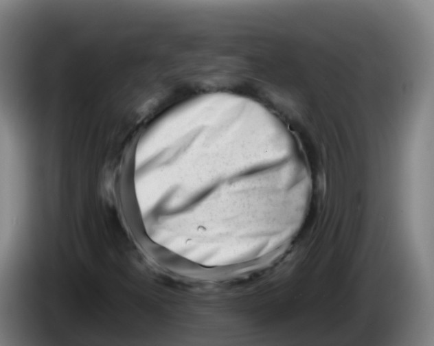 X0000086291300200704201915