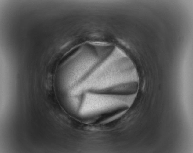 X0000086291301200704201915