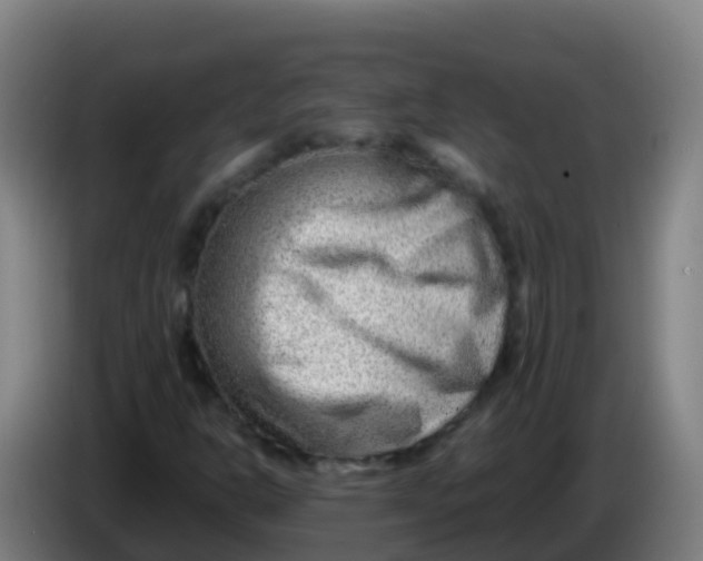 X0000086291302200704201915