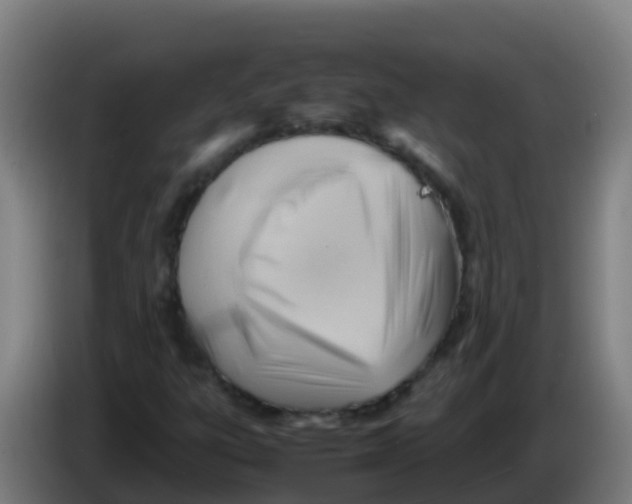 X0000086291303200704201915