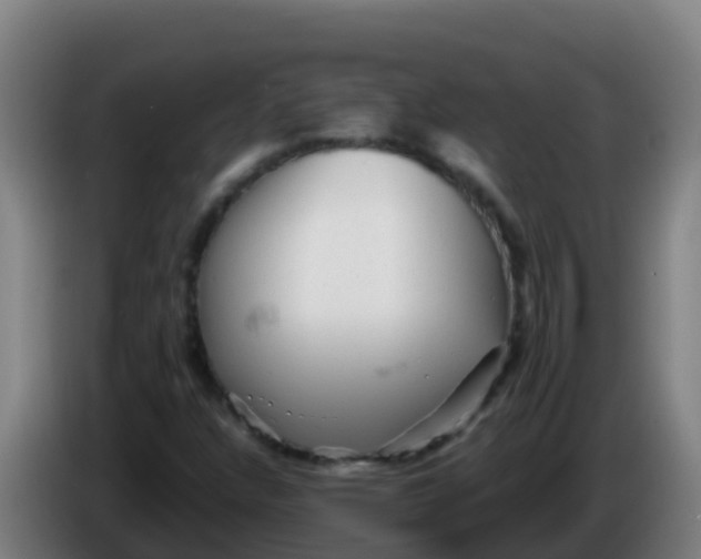 X0000086291304200704201915