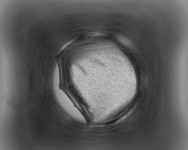 X0000086291305200704201915