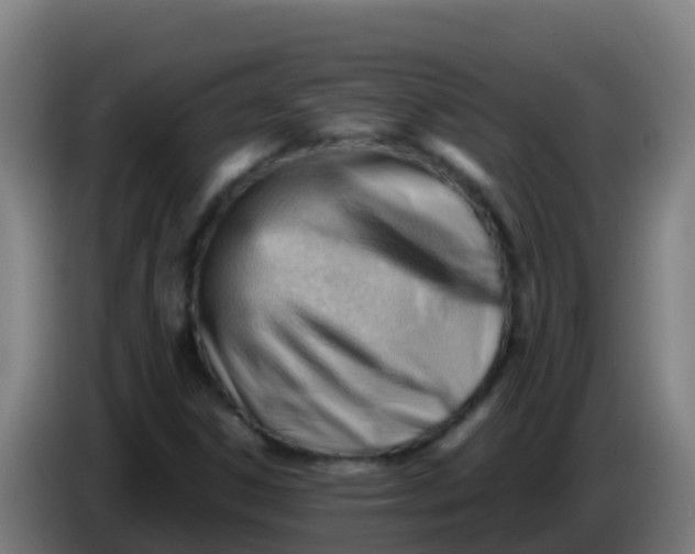X0000086291306200704201915