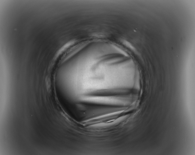 X0000086291307200704201915