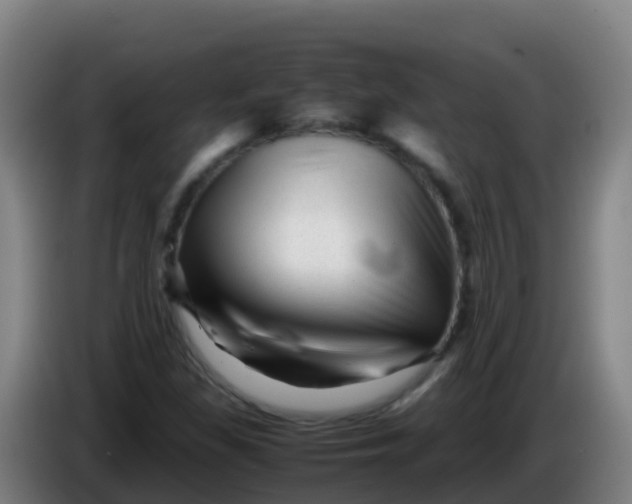 X0000086291309200704201915