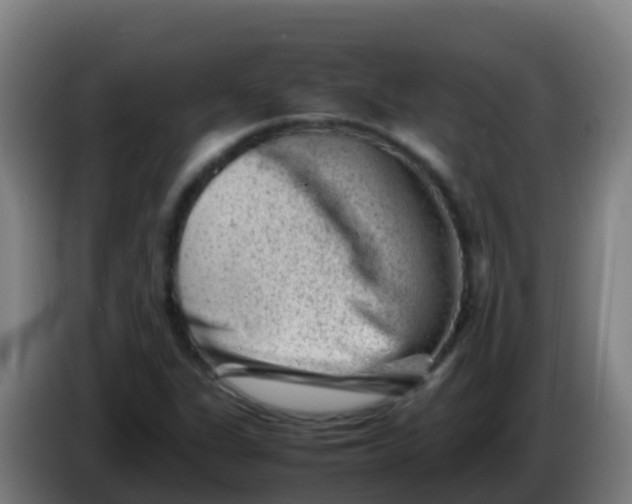 X0000086291311200704201915