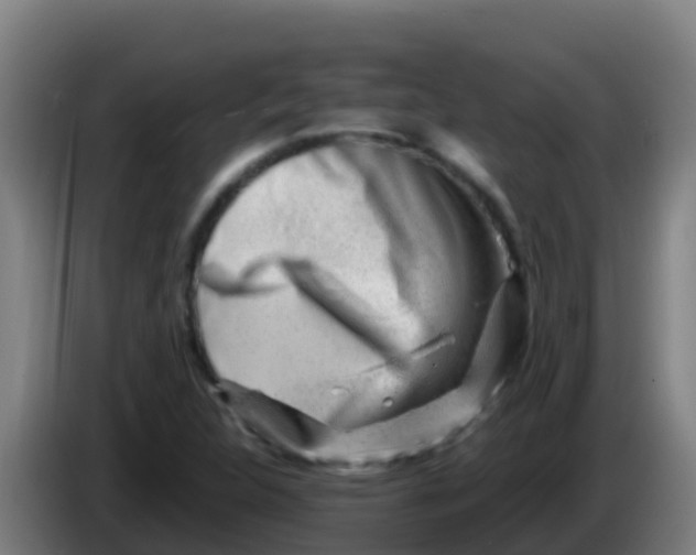 X0000086291312200704201915