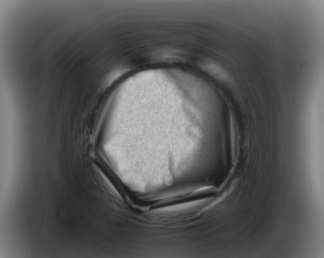 X0000086291313200704201915
