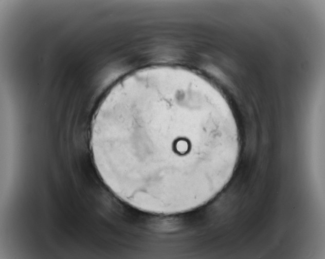 X0000086291314200704201915