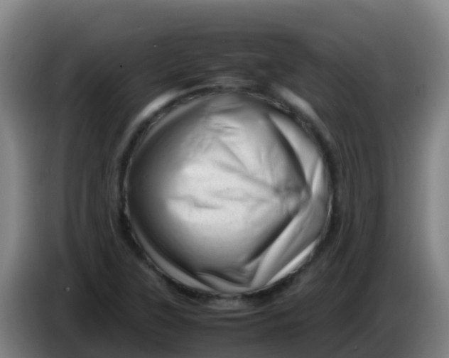 X0000086291315200704201915