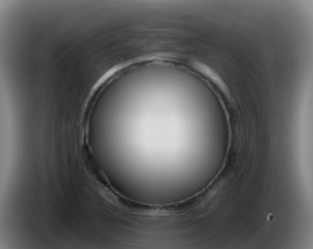 X0000086291316200704201915