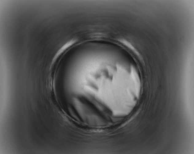 X0000086291317200704201915