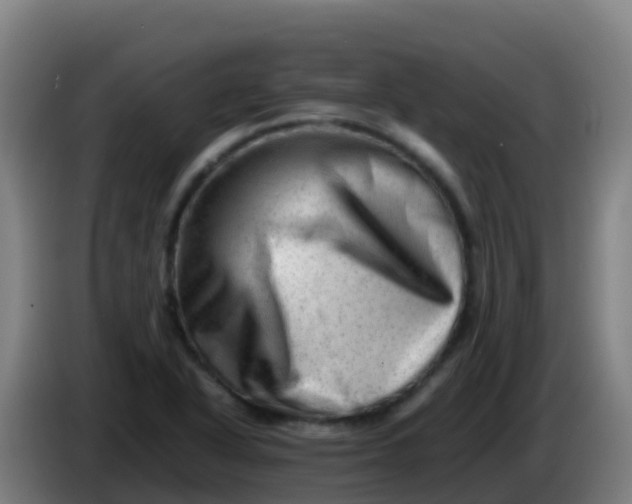 X0000086291318200704201915