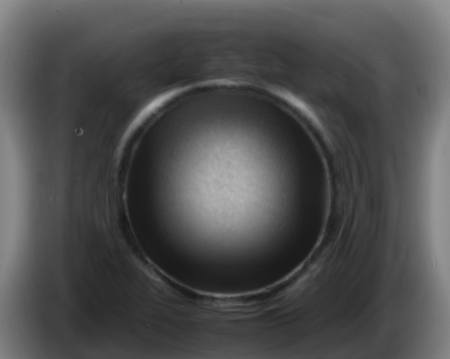X0000086291319200704201915