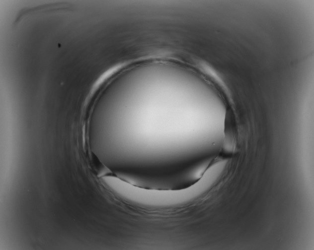 X0000086291320200704201915
