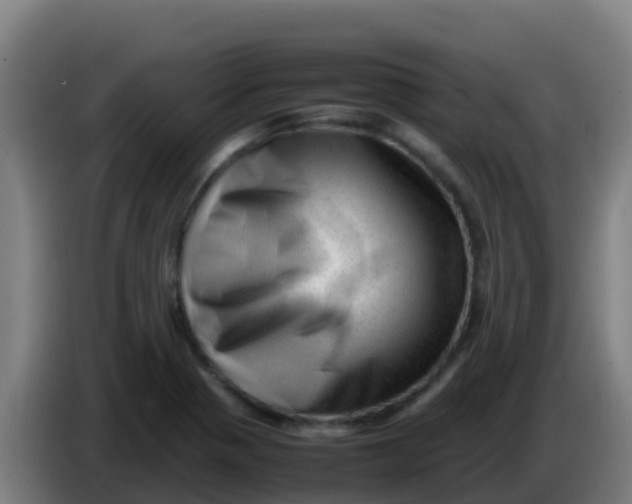 X0000086291321200704201915