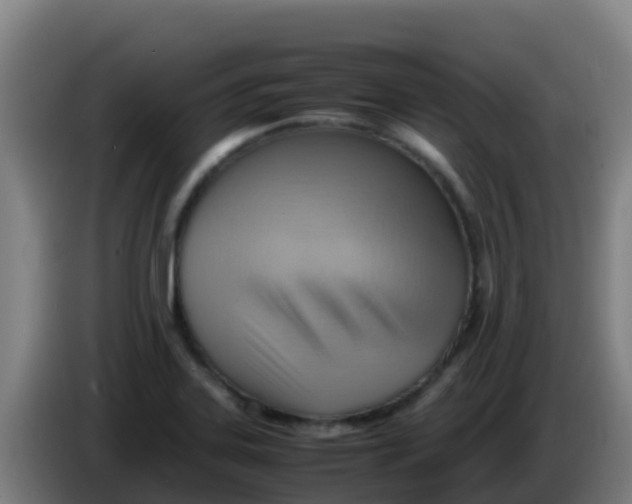 X0000086291323200704201915