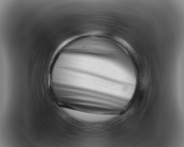 X0000086291324200704201915