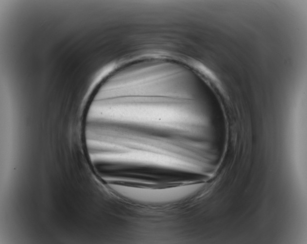 X0000086291326200704201915