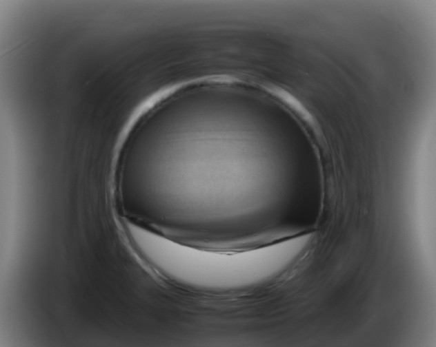 X0000086291327200704201915