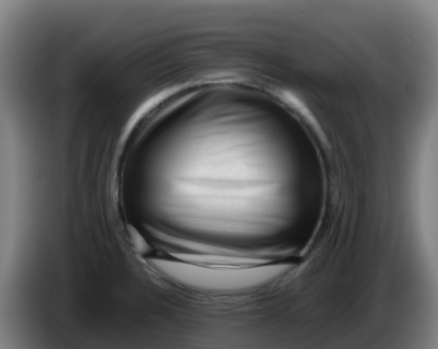 X0000086291328200704201915