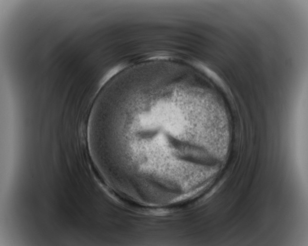 X0000086291329200704201915