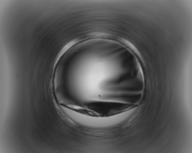 X0000086291330200704201915