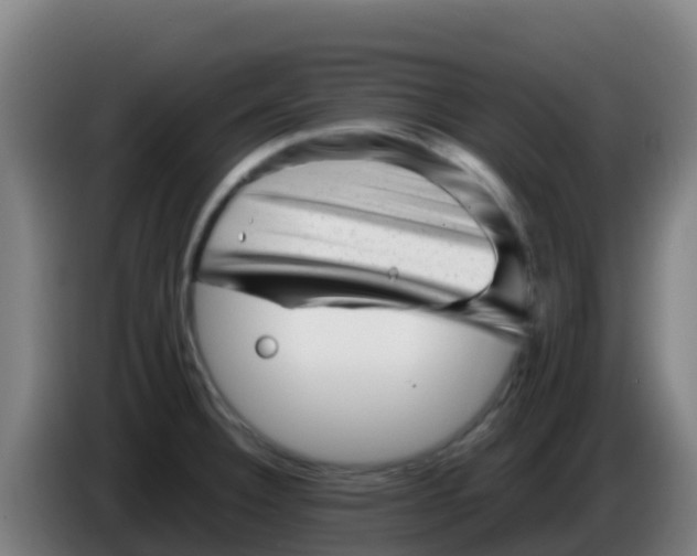 X0000086291332200704201915