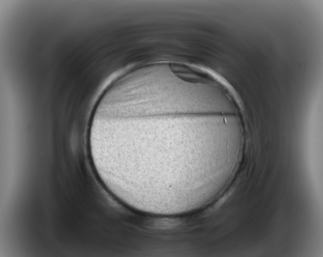 X0000086291333200704201915