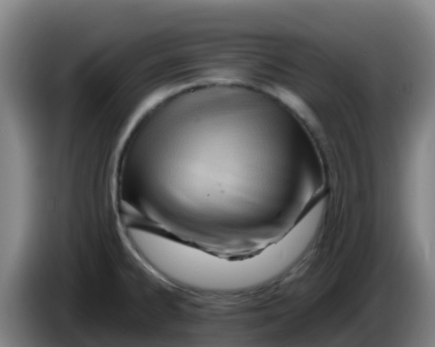 X0000086291334200704201915