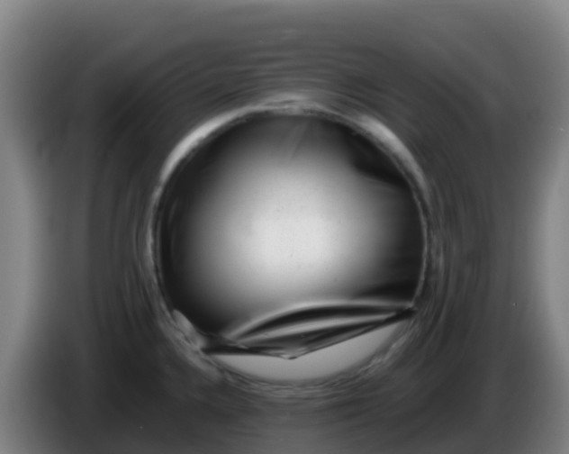 X0000086291336200704201915