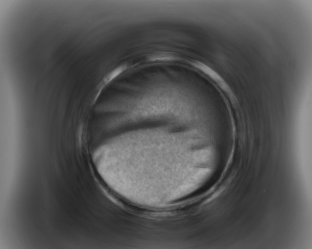 X0000086291337200704201915