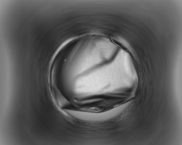 X0000086291339200704201915