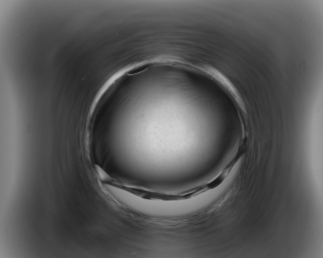 X0000086291340200704201915