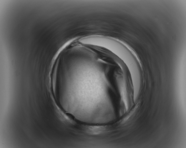X0000086291341200704201915