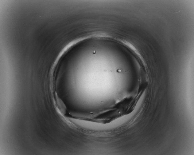 X0000086291342200704201915