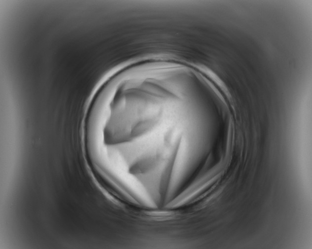 X0000086291343200704201915
