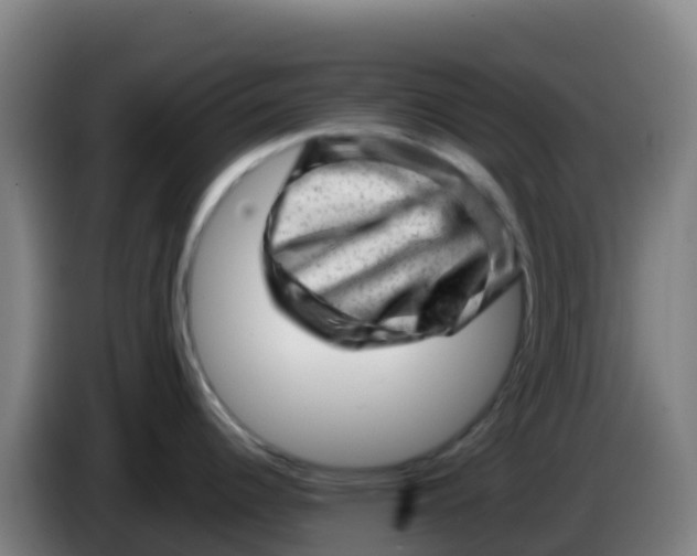 X0000086291344200704201915